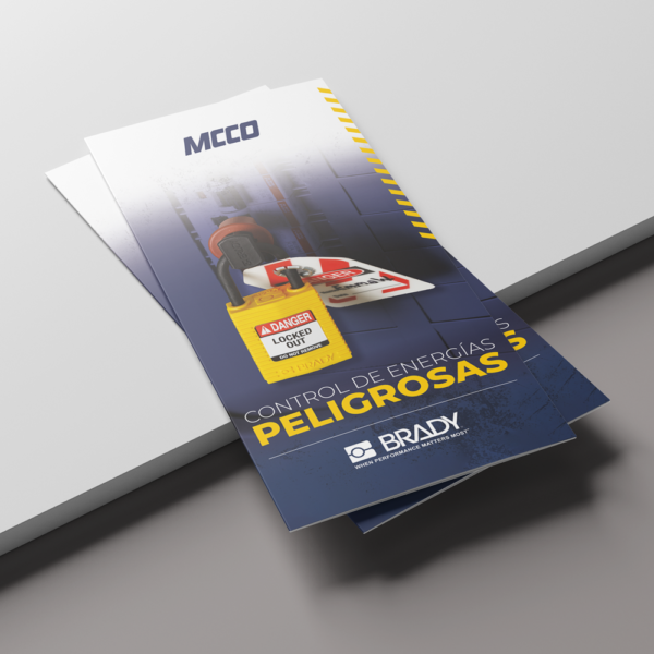 triptico_brady